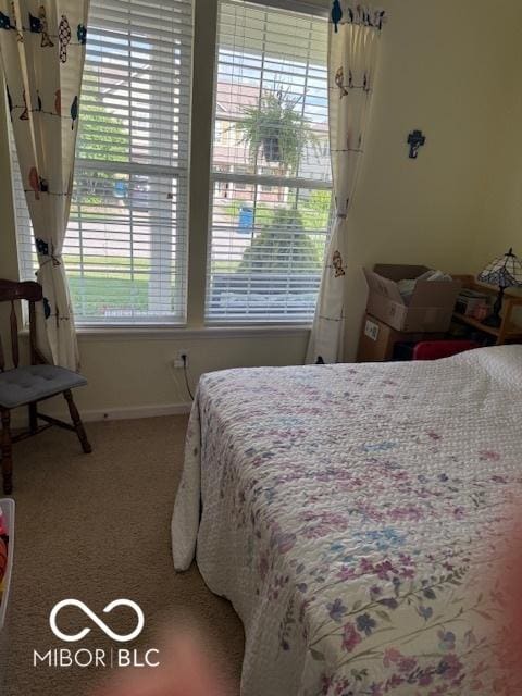 5304 Appleseed Way, Indianapolis, IN 46217 - bedroom with carpet and baseboards