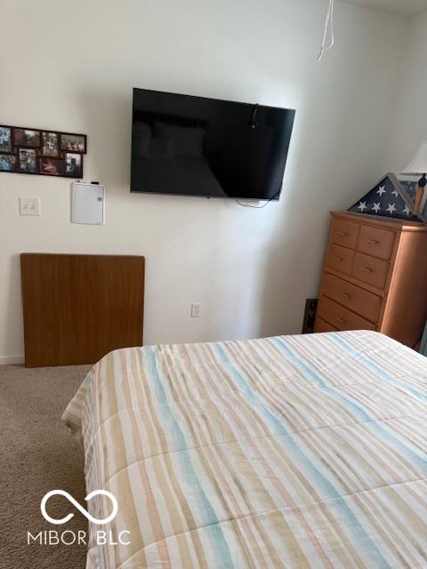 5304 Appleseed Way, Indianapolis, IN 46217 - view of carpeted bedroom