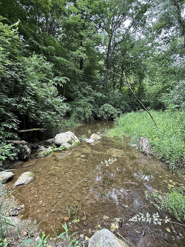 527 E 125 S, Williamsport, IN 47993 - view of local wilderness
