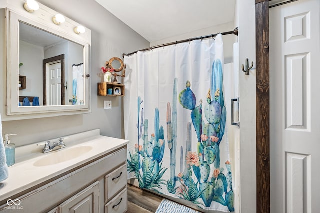 527 E 125 S, Williamsport, IN 47993 - bathroom featuring vanity and a shower with shower curtain