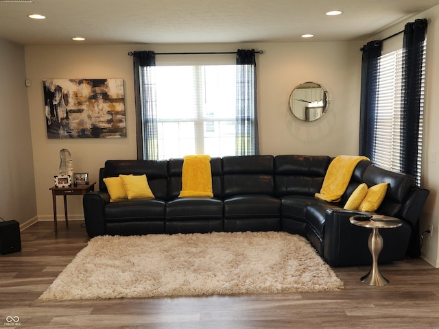 6731 Keepsake Dr, Whitestown, IN 46075 - living area featuring wood finished floors, recessed lighting, and baseboards