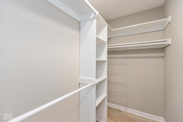 8955 Stonegate Rd Unit A, Indianapolis, IN 46227 - walk in closet featuring wood finished floors