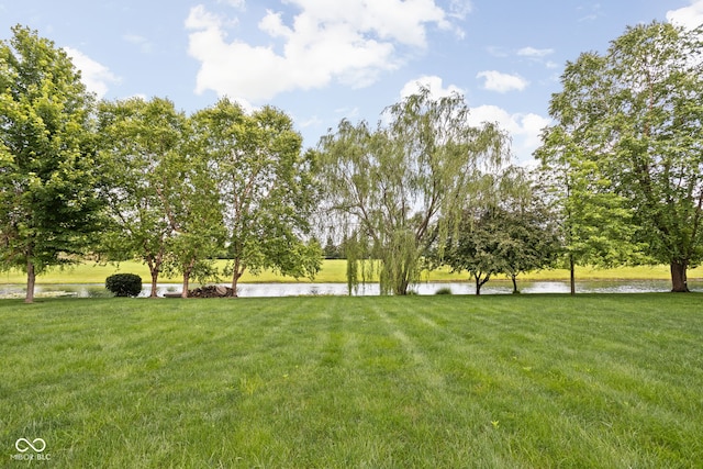 5695 N Red Oak Dr, Greenfield, IN 46140 - view of green lawn featuring a water view