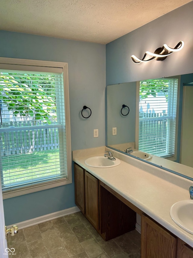 12307 Chiseled Stone Dr, Fishers, IN 46037 - bathroom with double vanity, healthy amount of natural light, baseboards, and a textured ceiling