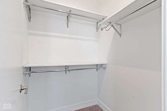 751 Switchyard Pl, Indianapolis, IN 46202 - spacious closet with carpet