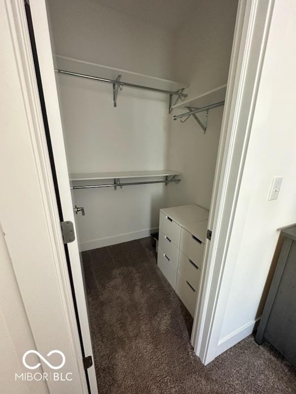 751 Switchyard Pl, Indianapolis, IN 46202 - walk in closet featuring dark colored carpet