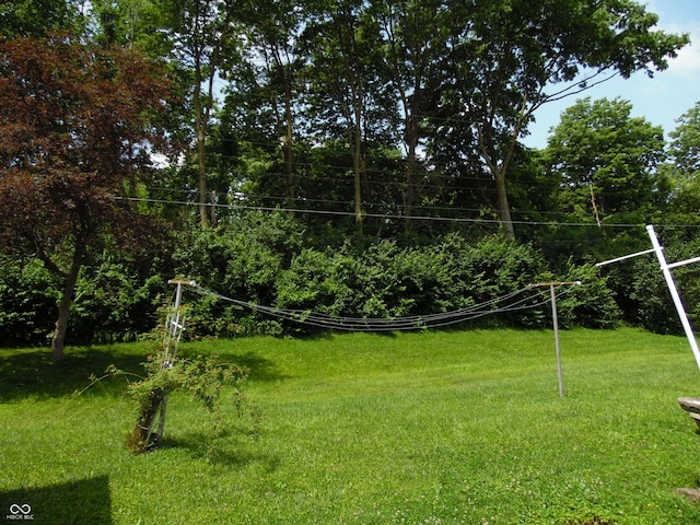 509 Eberhart Dr, Shelbyville, IN 46176 - view of green lawn