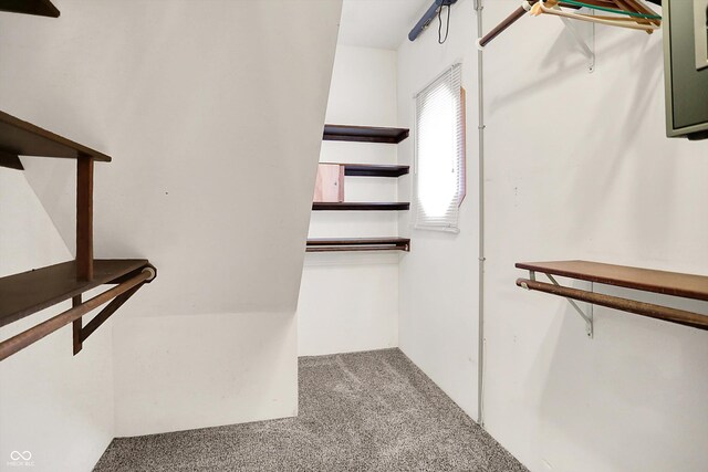 6644 Mcfarland Rd, Indianapolis, IN 46227 - walk in closet featuring carpet