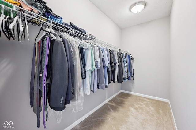 10806 Solis Cir, Fishers, IN 46038 - spacious closet with carpet