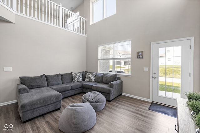 2892 Maricopa Blvd, Whitestown, IN 46075 - living area with wood finished floors and a towering ceiling