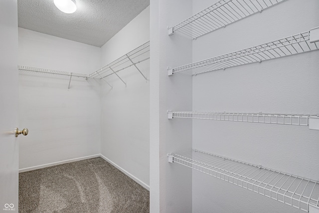 8030 Cork Bend Ln, Indianapolis, IN 46239 - walk in closet with carpet floors