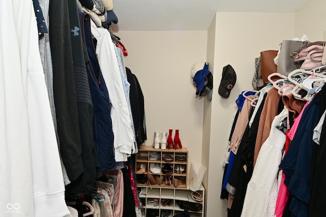 13616 Whitten Dr N, Fishers, IN 46037 - view of spacious closet