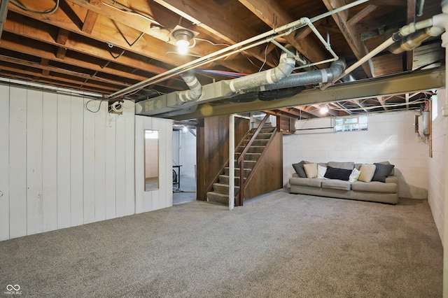 808 N Layman Ave, Indianapolis, IN 46219 - below grade area with stairs, carpet flooring, and wooden walls