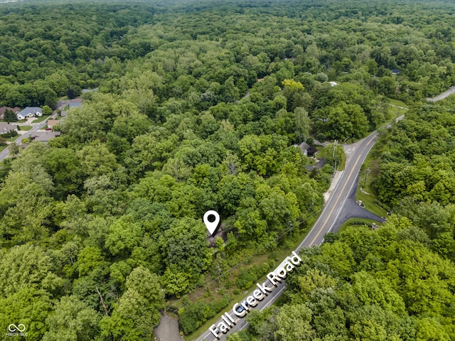 8310 Fall Creek Rd, Indianapolis, IN 46256 - bird's eye view of a forest