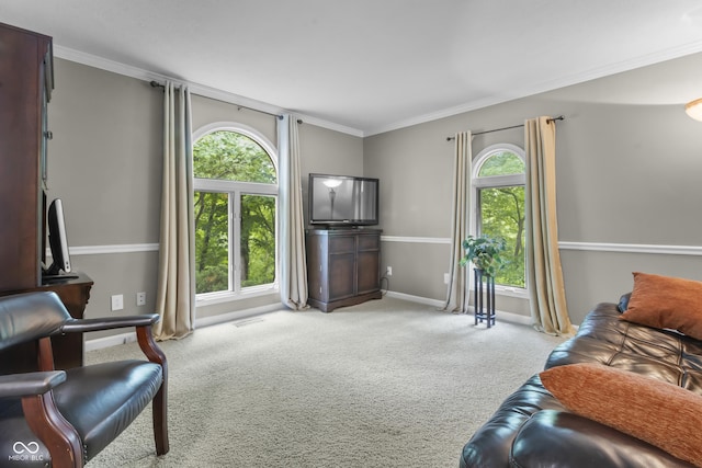 8310 Fall Creek Rd, Indianapolis, IN 46256 - living room with healthy amount of natural light, carpet, and ornamental molding