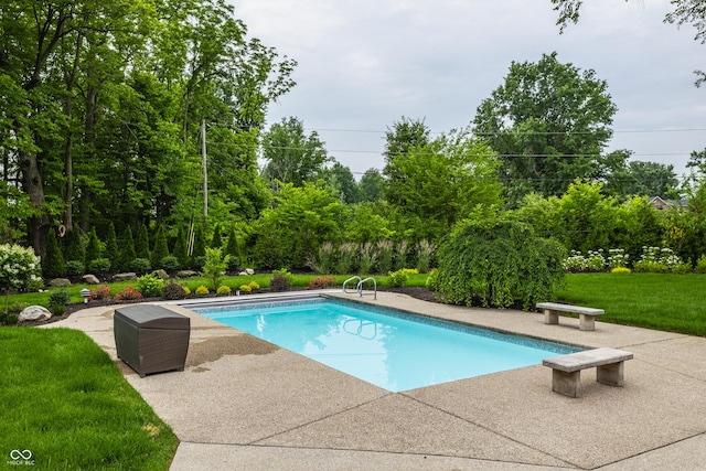 3549 W 131st St, Carmel, IN 46032 - outdoor pool with a patio area, a lawn, and view of scattered trees