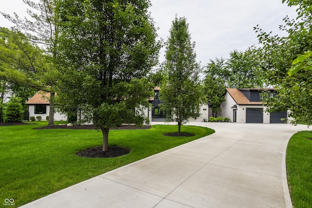 3549 W 131st St, Carmel, IN 46032 - view of property hidden behind natural elements featuring concrete driveway, a front lawn, and stucco siding