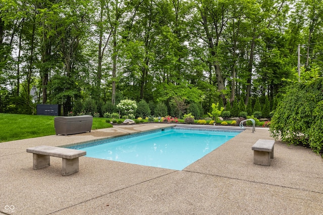3549 W 131st St, Carmel, IN 46032 - outdoor pool with a patio and view of wooded area