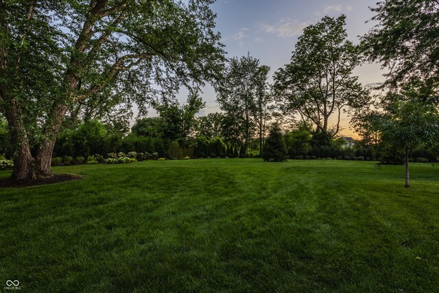 3549 W 131st St, Carmel, IN 46032 - view of green lawn
