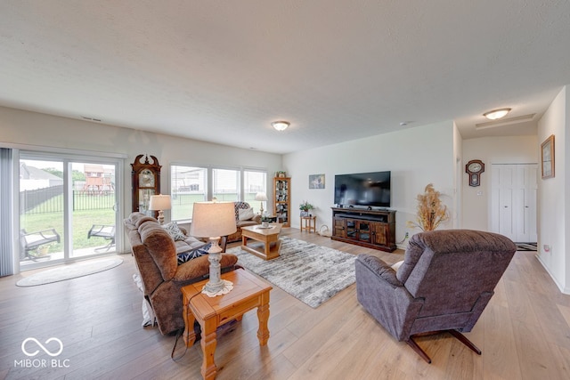 59 Manchester Dr, Trafalgar, IN 46181 - living area with plenty of natural light and light wood finished floors