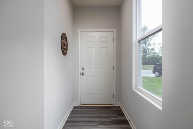 14110 Bay Willow Dr, Fishers, IN 46037 - doorway to outside featuring dark wood-type flooring and baseboards
