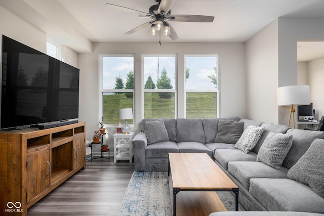 14110 Bay Willow Dr, Fishers, IN 46037 - living room featuring plenty of natural light, ceiling fan, and wood finished floors