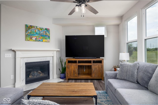 14110 Bay Willow Dr, Fishers, IN 46037 - living room with a ceiling fan, wood finished floors, and a high end fireplace