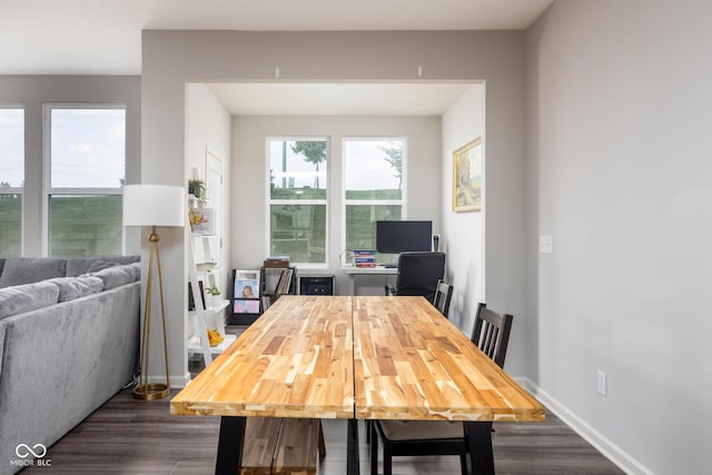 14110 Bay Willow Dr, Fishers, IN 46037 - dining space with dark wood-style flooring