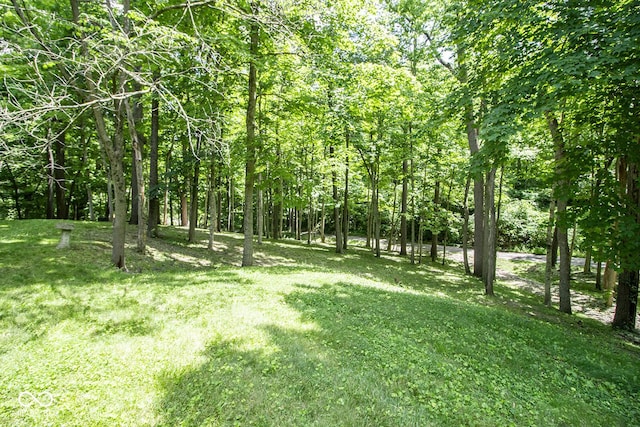 5530 Shawnee Trail S Drive, Indianapolis, IN 46220 - view of grassy yard with a wooded view