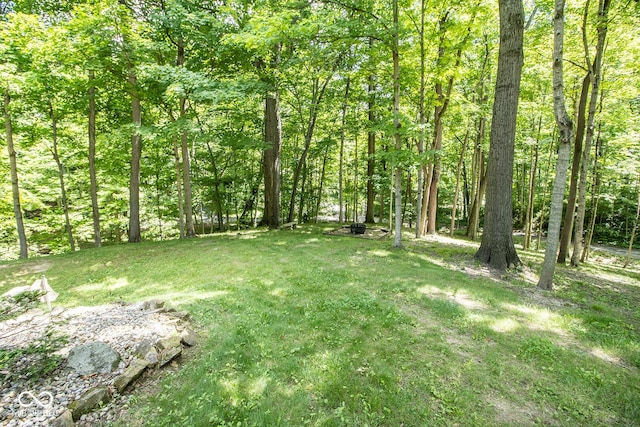 5530 Shawnee Trail S Drive, Indianapolis, IN 46220 - view of grassy yard with a view of trees