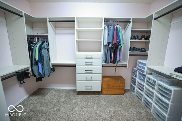 5109 N Weathers Ct, Bloomington, IN 47404 - spacious closet with carpet flooring