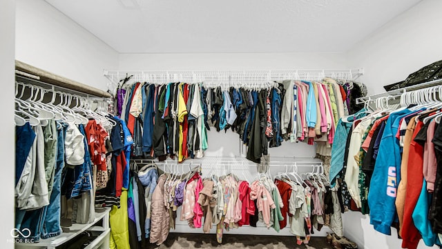 8690 Lester Pl, Pendleton, IN 46064 - view of spacious closet
