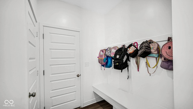 8690 Lester Pl, Pendleton, IN 46064 - mudroom with dark wood-type flooring and baseboards