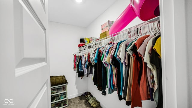 8690 Lester Pl, Pendleton, IN 46064 - spacious closet with carpet floors