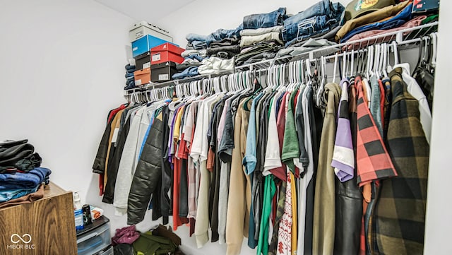 8690 Lester Pl, Pendleton, IN 46064 - view of spacious closet