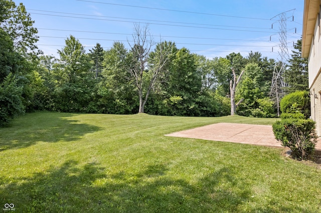 9205 Selkirk Ct, Indianapolis, IN 46260 - view of green lawn featuring a patio