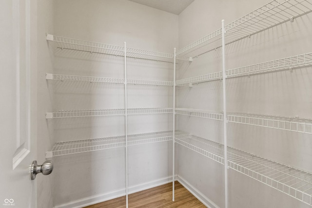 10112 Gallop Ln, Fishers, IN 46040 - view of pantry