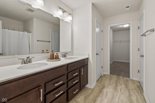 10112 Gallop Ln, Fishers, IN 46040 - bathroom featuring double vanity, a walk in closet, and wood finished floors