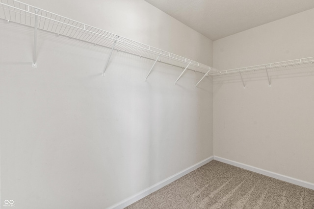 10112 Gallop Ln, Fishers, IN 46040 - walk in closet with carpet flooring