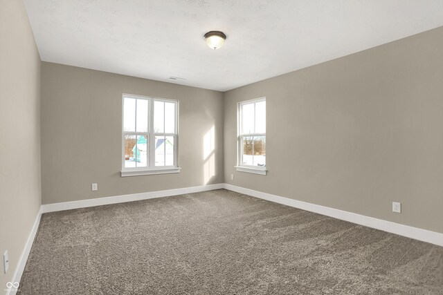 6770 W Buck Stone Dr, Mccordsville, IN 46055 - photo 31