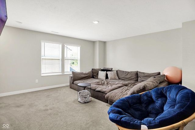 741 Scarsdale Ln, Danville, IN 46122 - living room featuring baseboards and carpet floors