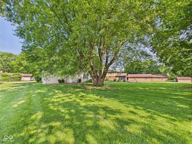 2126 Tartan Rd, Anderson, IN 46012 - view of grassy yard