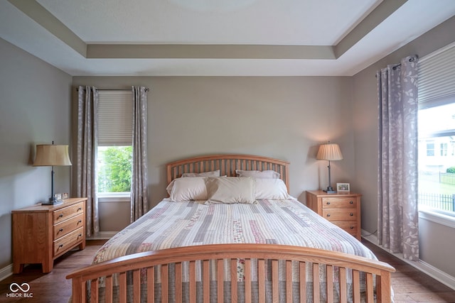 16209 Natures Way, Westfield, IN 46074 - bedroom featuring wood finished floors and a tray ceiling