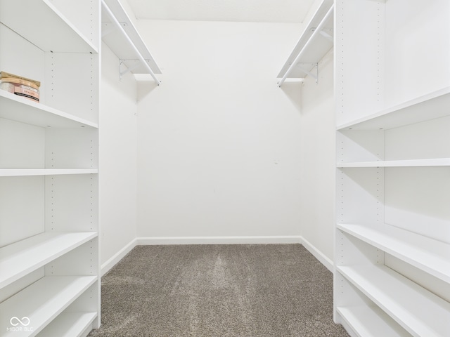 114 Bluebird Ln, Sulphur Springs, IN 47388 - spacious closet featuring carpet floors
