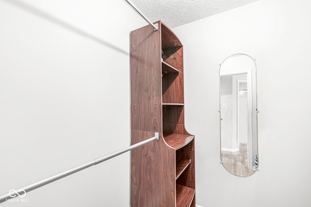 1044 Timber Creek Dr Unit 2, Carmel, IN 46032 - view of spacious closet