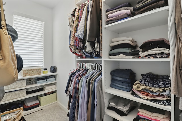 3613 Lehigh Ave, Westfield, IN 46074 - walk in closet with carpet