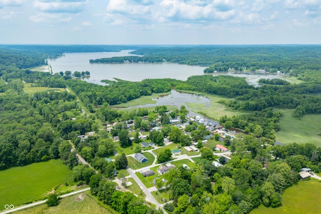 5800 S Shore Dr, Nashville, IN 47448 - drone / aerial view of a nearby body of water