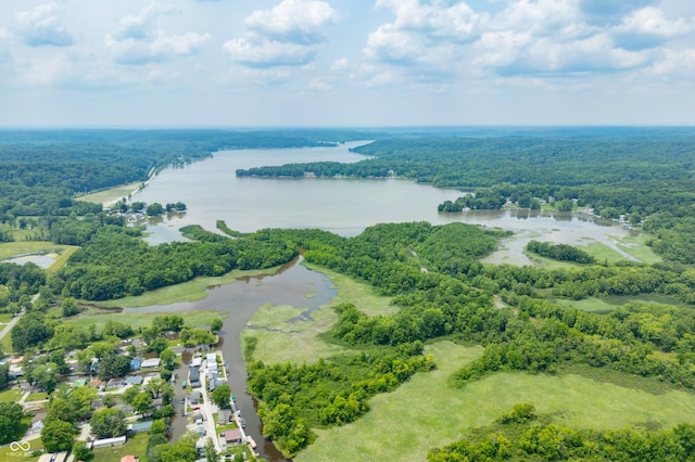 5800 S Shore Dr, Nashville, IN 47448 - drone / aerial view of a forest and a nearby body of water