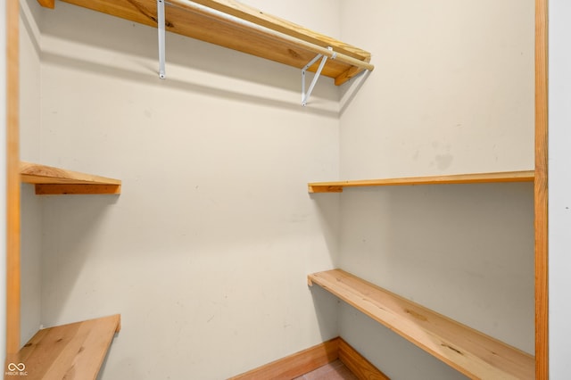 5800 S Shore Dr, Nashville, IN 47448 - view of spacious closet