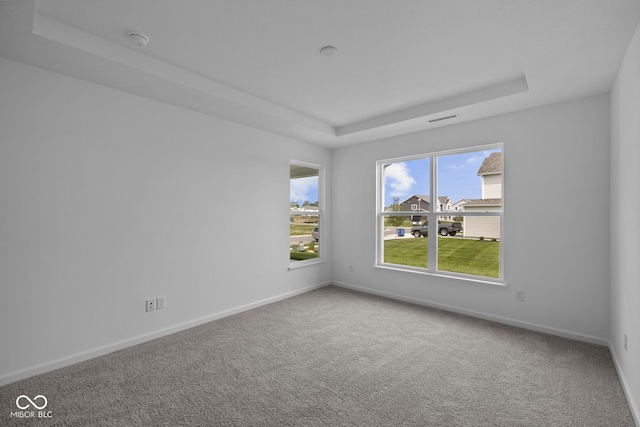 12490 Morning Ridge Way, Noblesville, IN 46060 - carpeted spare room with a tray ceiling and baseboards